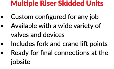 Multiple Riser Skidded Units Custom configured for any job Available with a wide variety of valves and devices Includ   