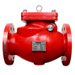 Image for RASCO Flanged Check Valve Resilient Seat