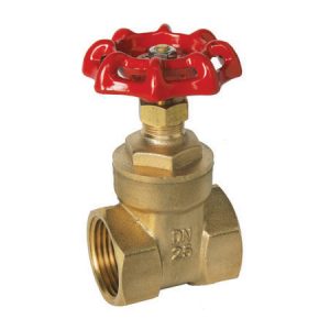 Image for Gate Valve Threaded