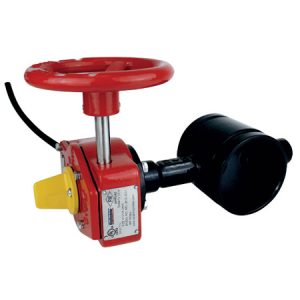 Image for RASCO FM & UL Butterfly Valve REL-BFG/W-300-I