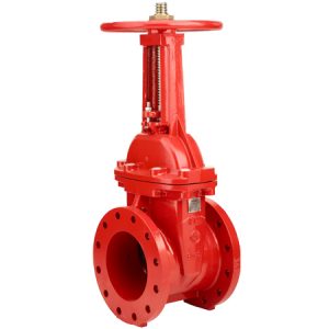 Image for RASCO Resilient Seated 300PSI OS&Y Flanged
