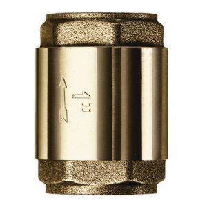 Image for Spring Check Valve