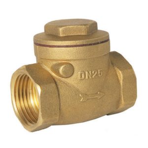 Image for Swing Check Valve