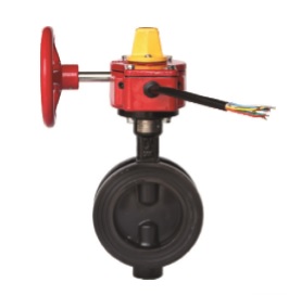 Image for RASCO FM & UL Butterfly Valve REL-300G/W-1012