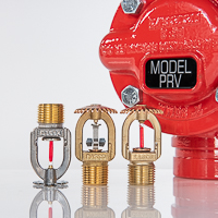 Photo of valve and sprinkler heads