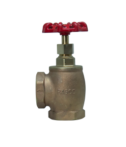 Image for Model REL-AGV Angle Globe Valve