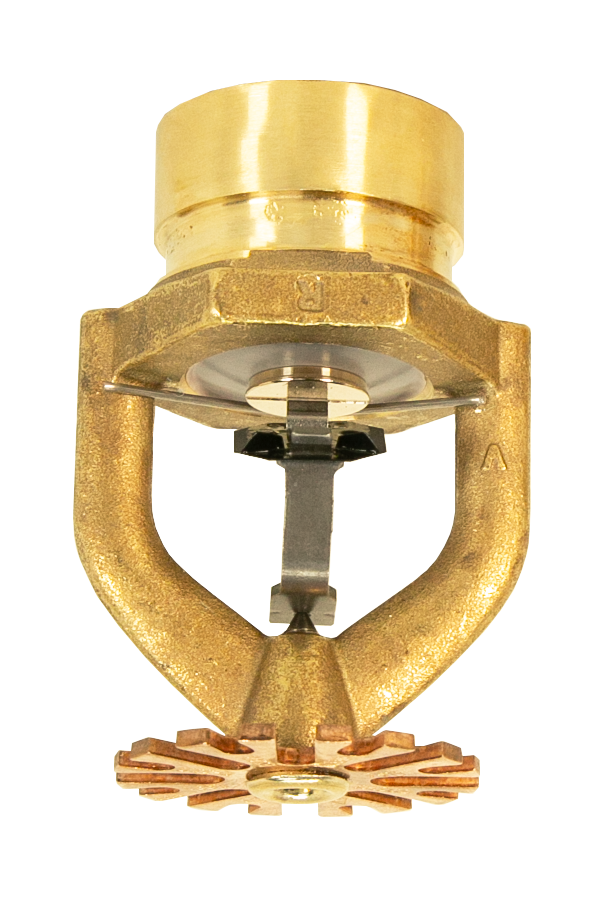 M34_grooved_AUG_2025